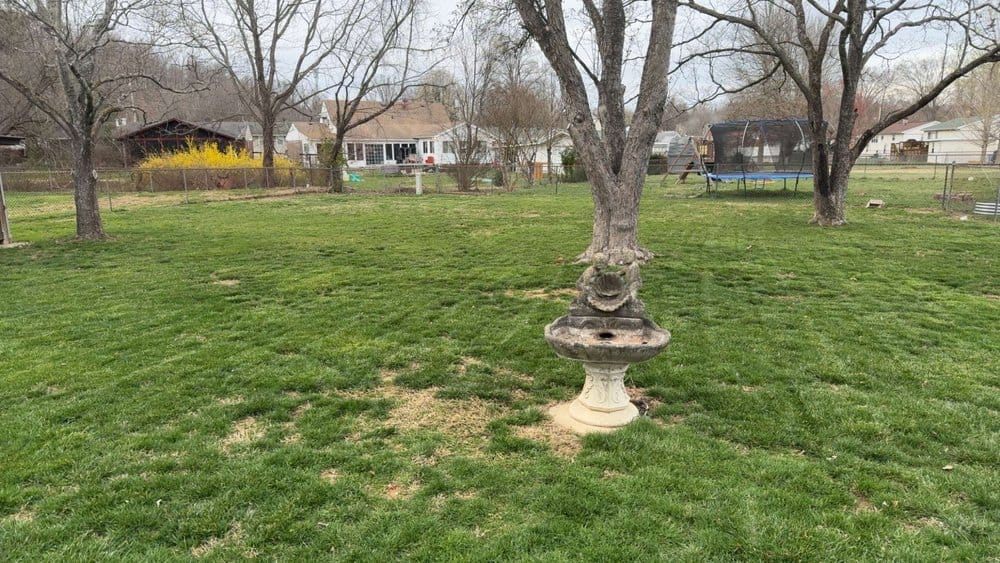 Acreage, cut down