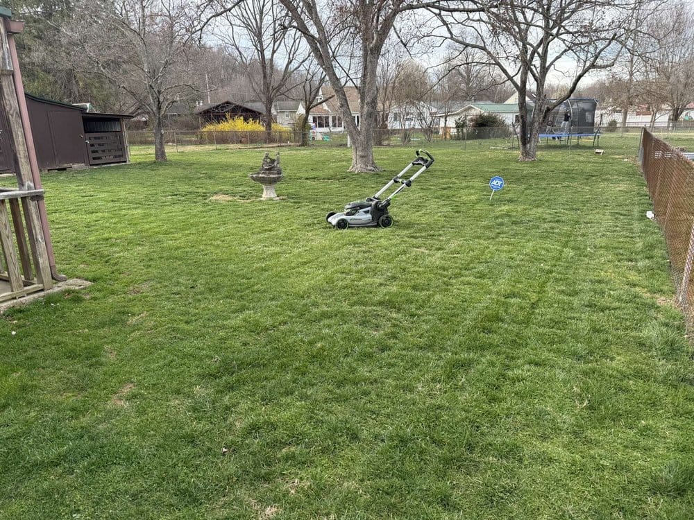 Mowed and blown off