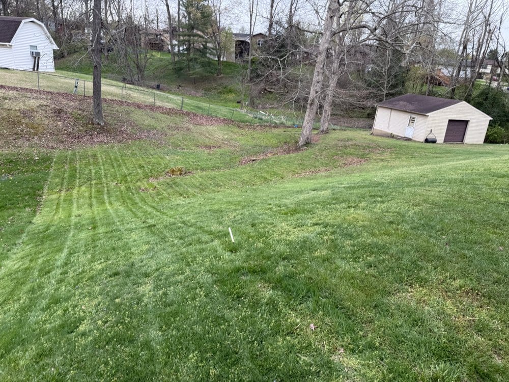 Cut lines across the lawn
